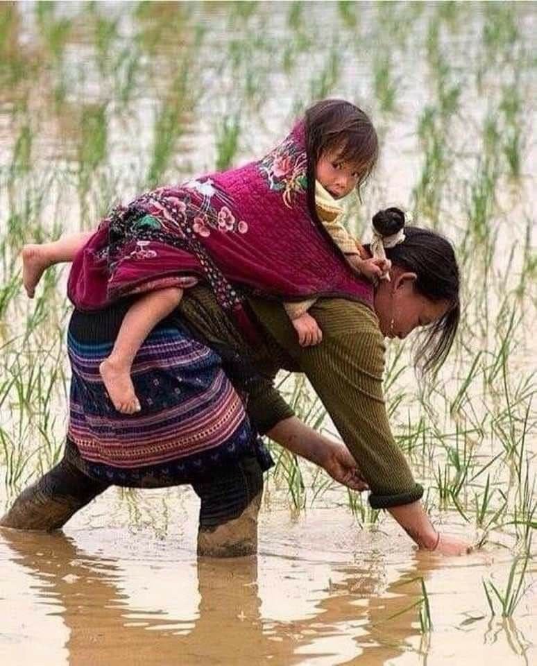 Rural Mother & Child Health Camps